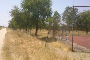 foto 37