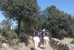 Cardeosa a Pealba