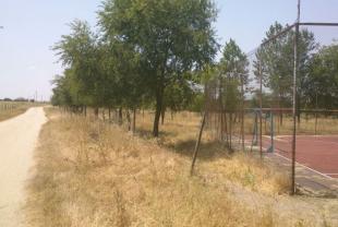 foto 37 junto al campo de futbito