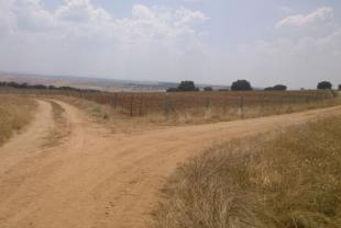 foto 40